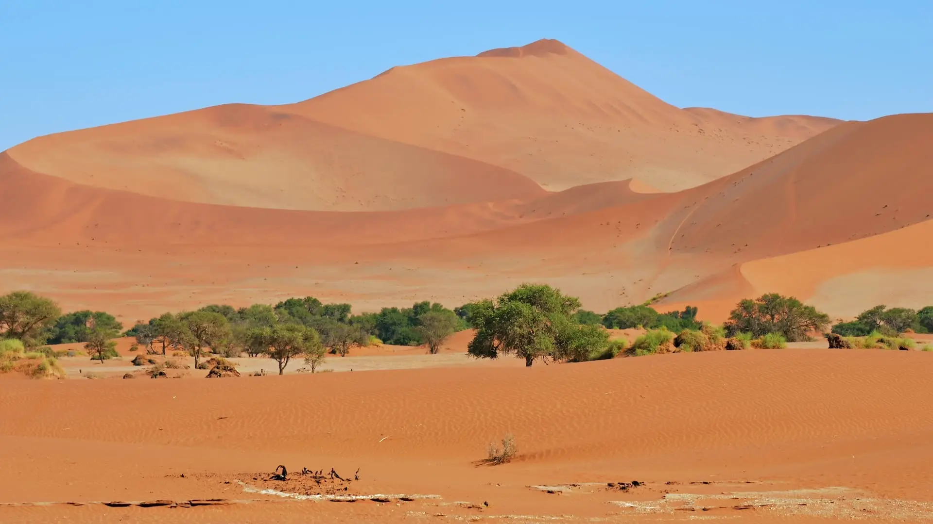 Desert